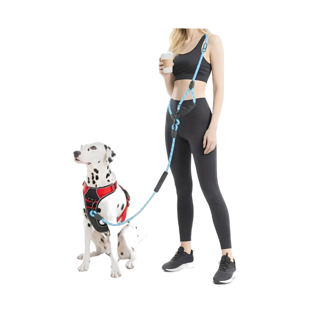 Hands Free Leash