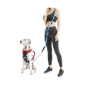Hands Free Dog Leash