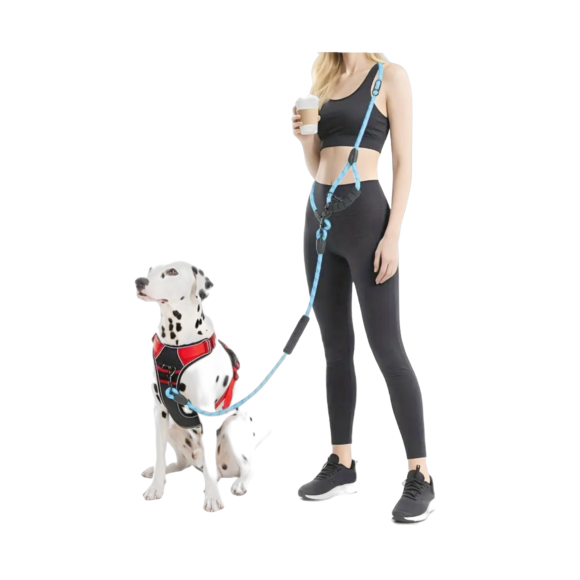Hands Free Leash