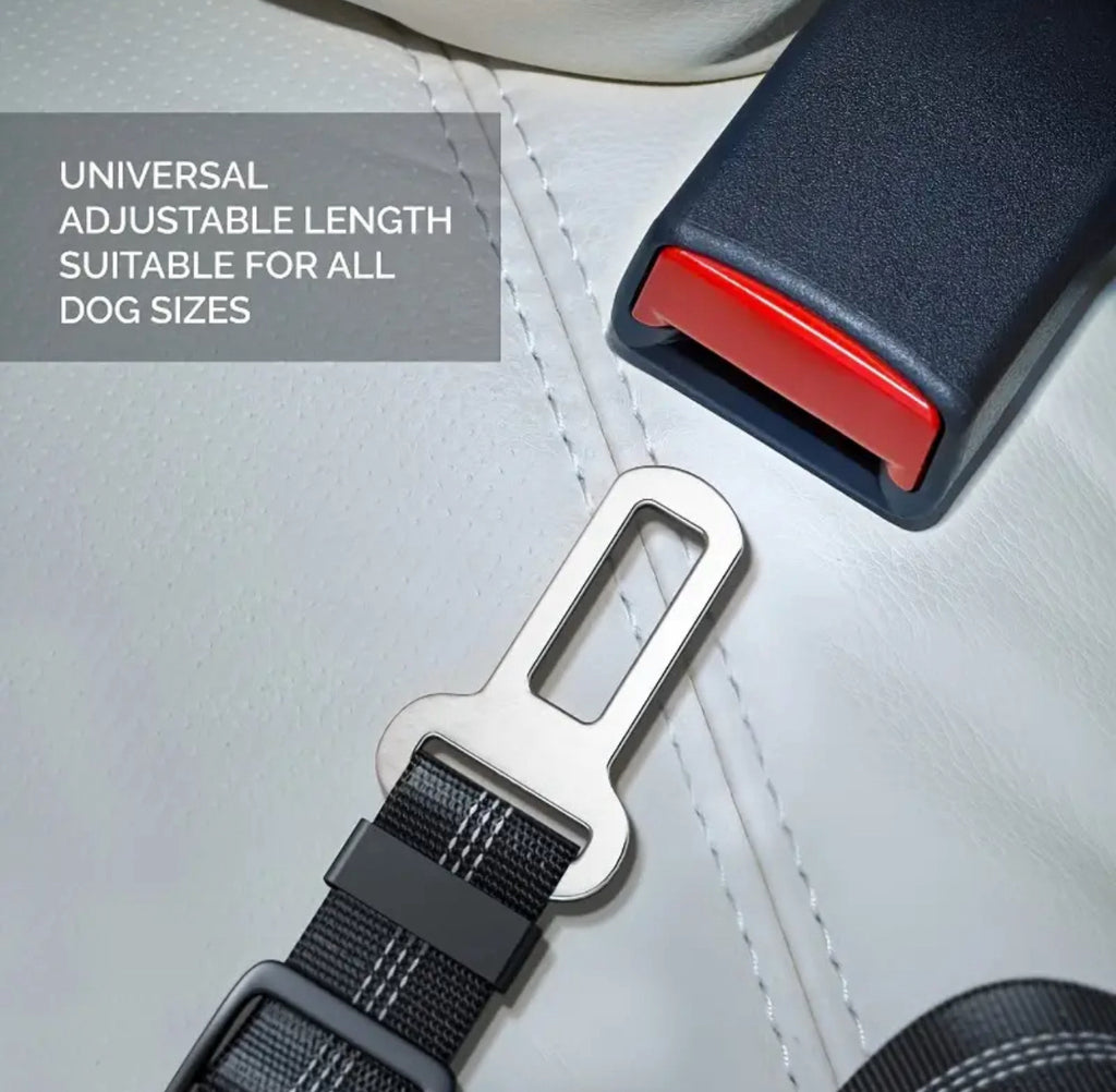 Pet Safety Seat Belt