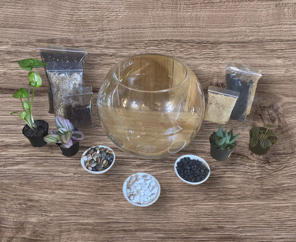DIY Terrarium Kit (Large)