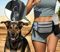 All-in-one Hands Free Pooch Walking Bag