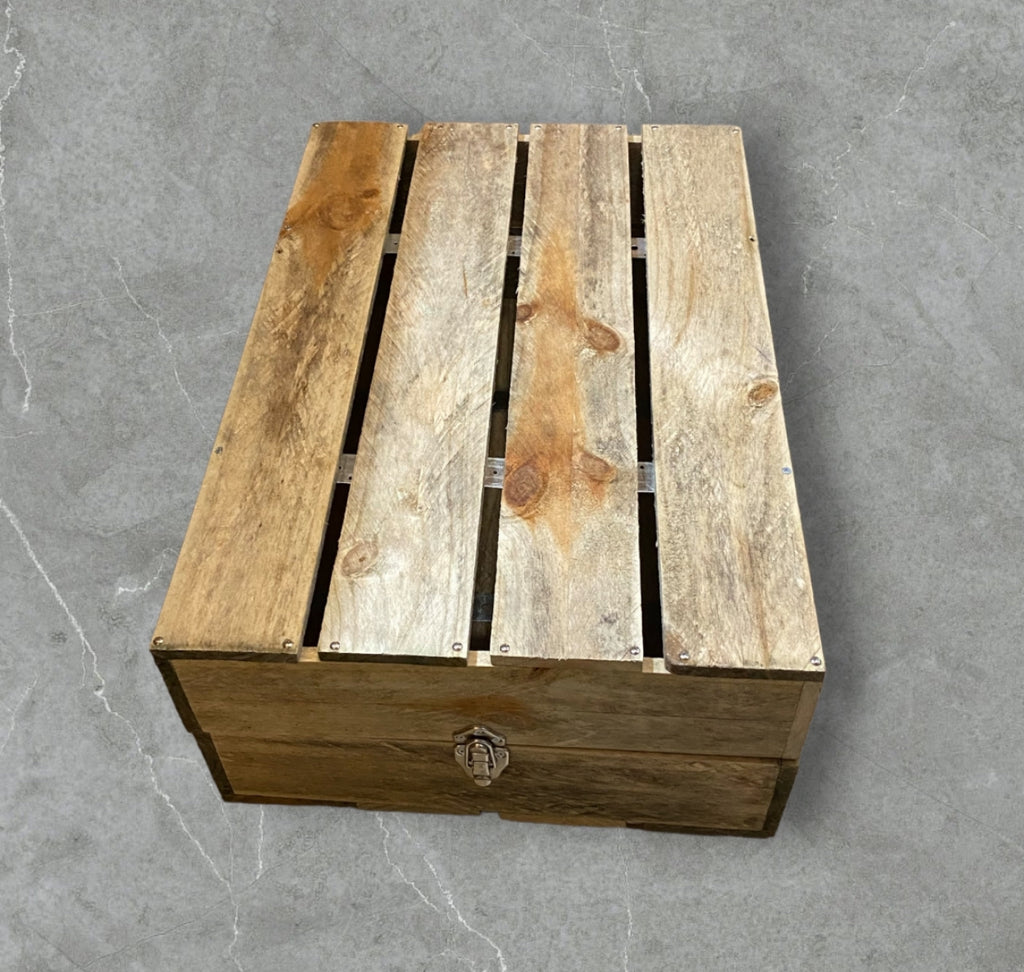 Potty Box (Medium)