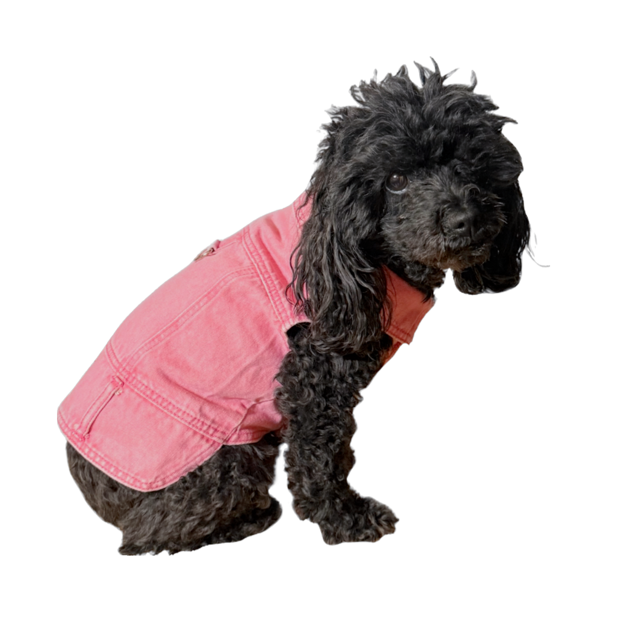 Denim Jacket with Harness