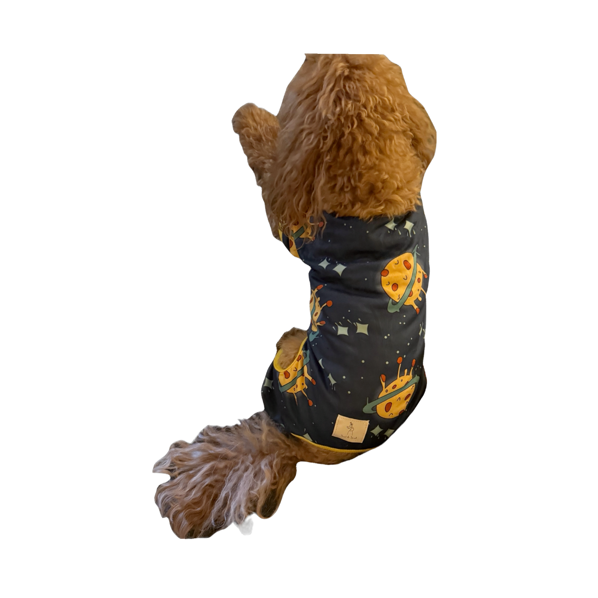 Pet Pajamas