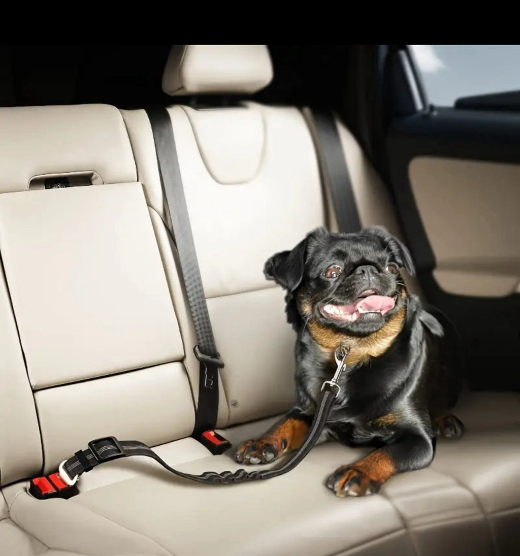 Pet Safety Seat Belt