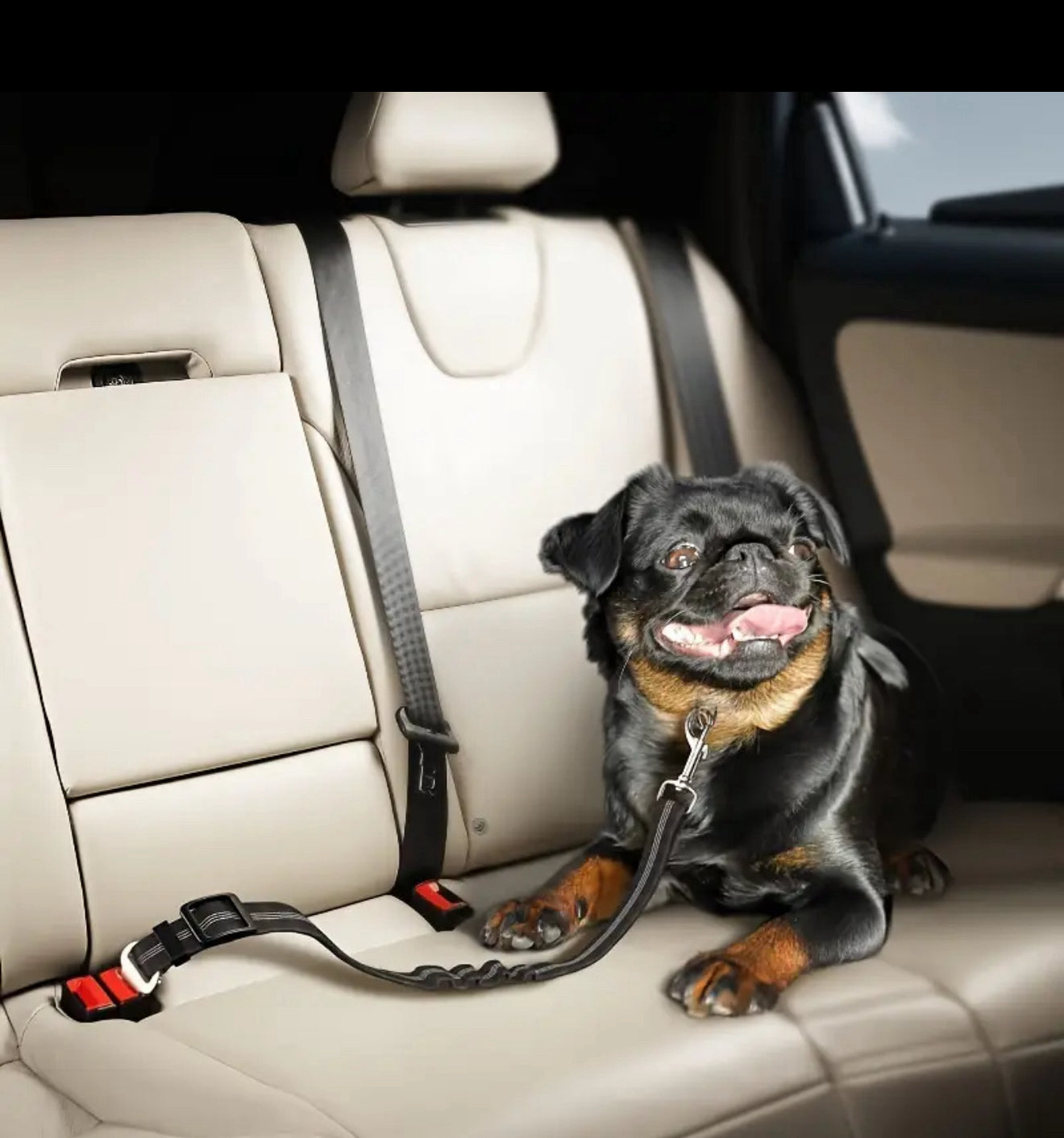Pet Safety Seat Belt